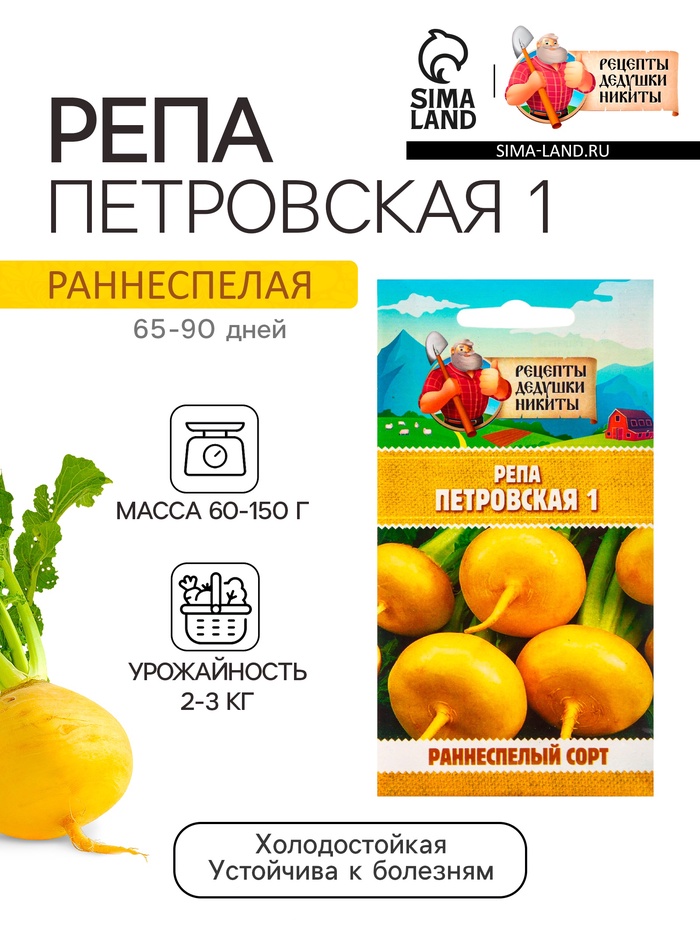 Семена Репа 